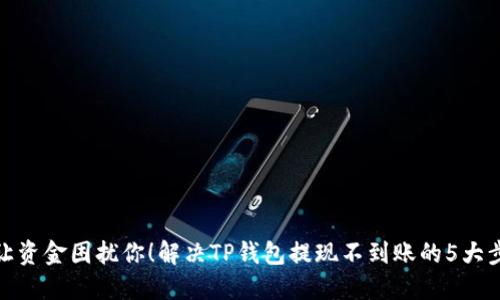 别让资金困扰你！解决TP钱包提现不到账的5大步骤